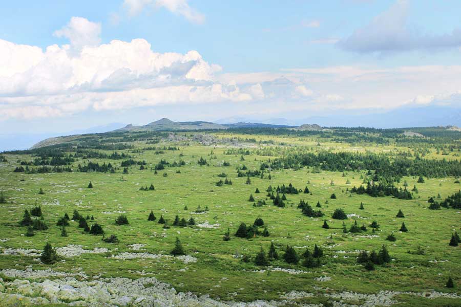 Плато. Национальный парк «Зигальга», Россия. Фотография Ирины Бицкой.