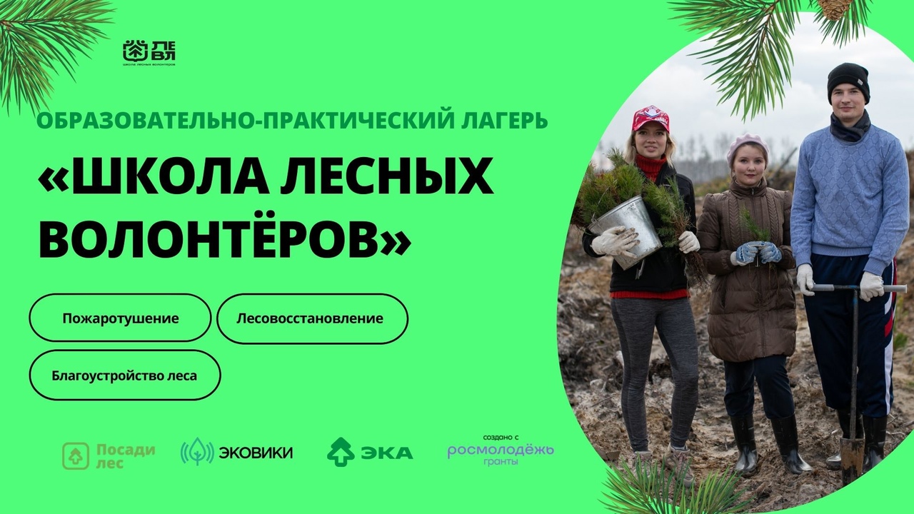 Эколагерь «Школа лесных волонтёров», Ульяновская область, Россия.